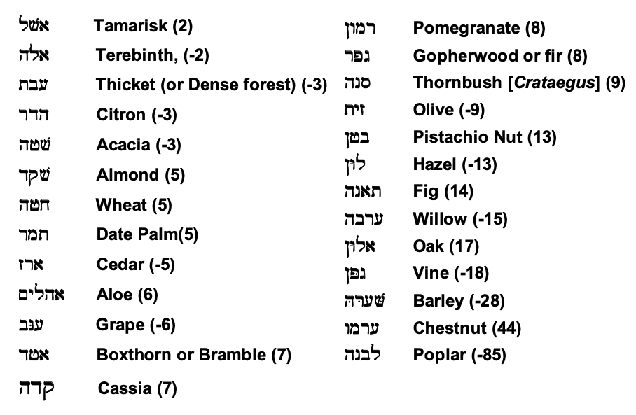 Genesis 2 | Talmidim Way