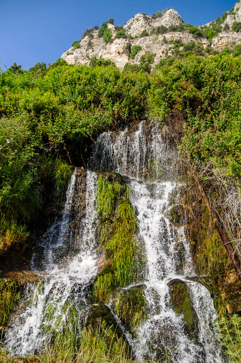 A waterfall in a forest Description automatically generated with low confidence